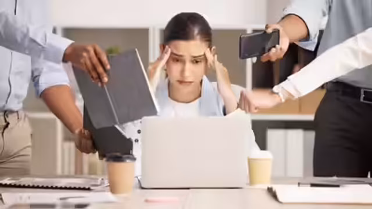 Candidate Loses Her Job Candidate Loses Her Job