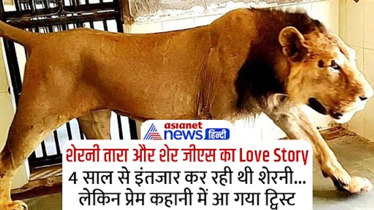 Valentines Day 2023 Valentines Day 2023