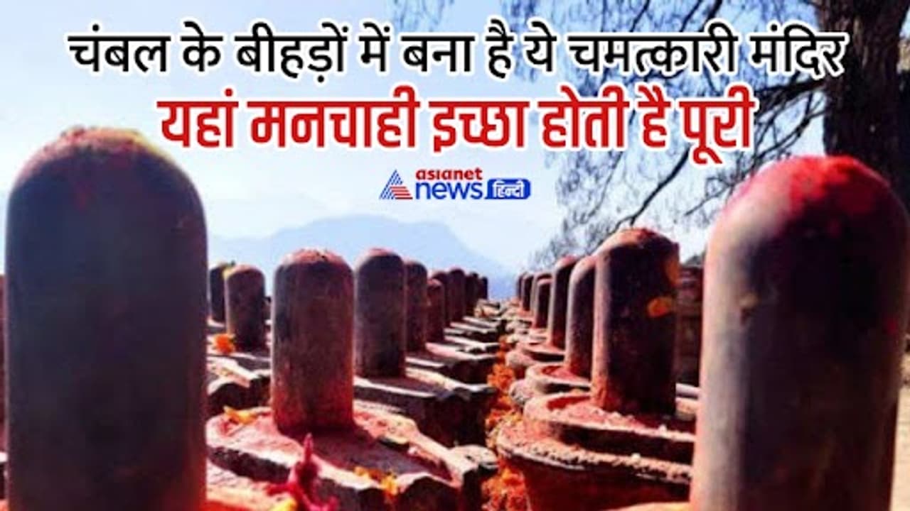 maha shivaratri 2023 Unique Mysterious achaleshwar mahadev temple dholpur where shivling change of colour 3 times a same day maha shivaratri 2023 Unique Mysterious achaleshwar mahadev temple dholpur where shivling change of colour 3 times a same day