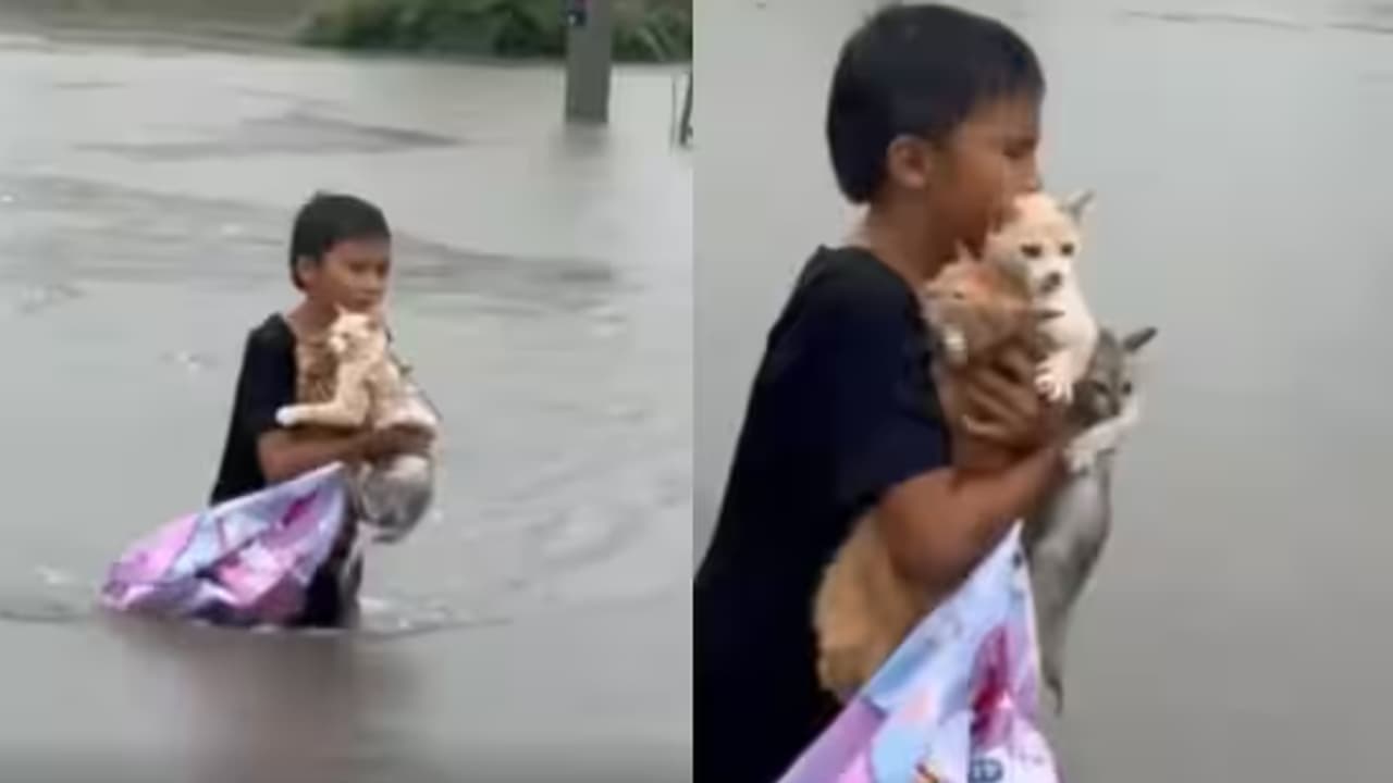 Malaysia Viral Video Malaysia Viral Video