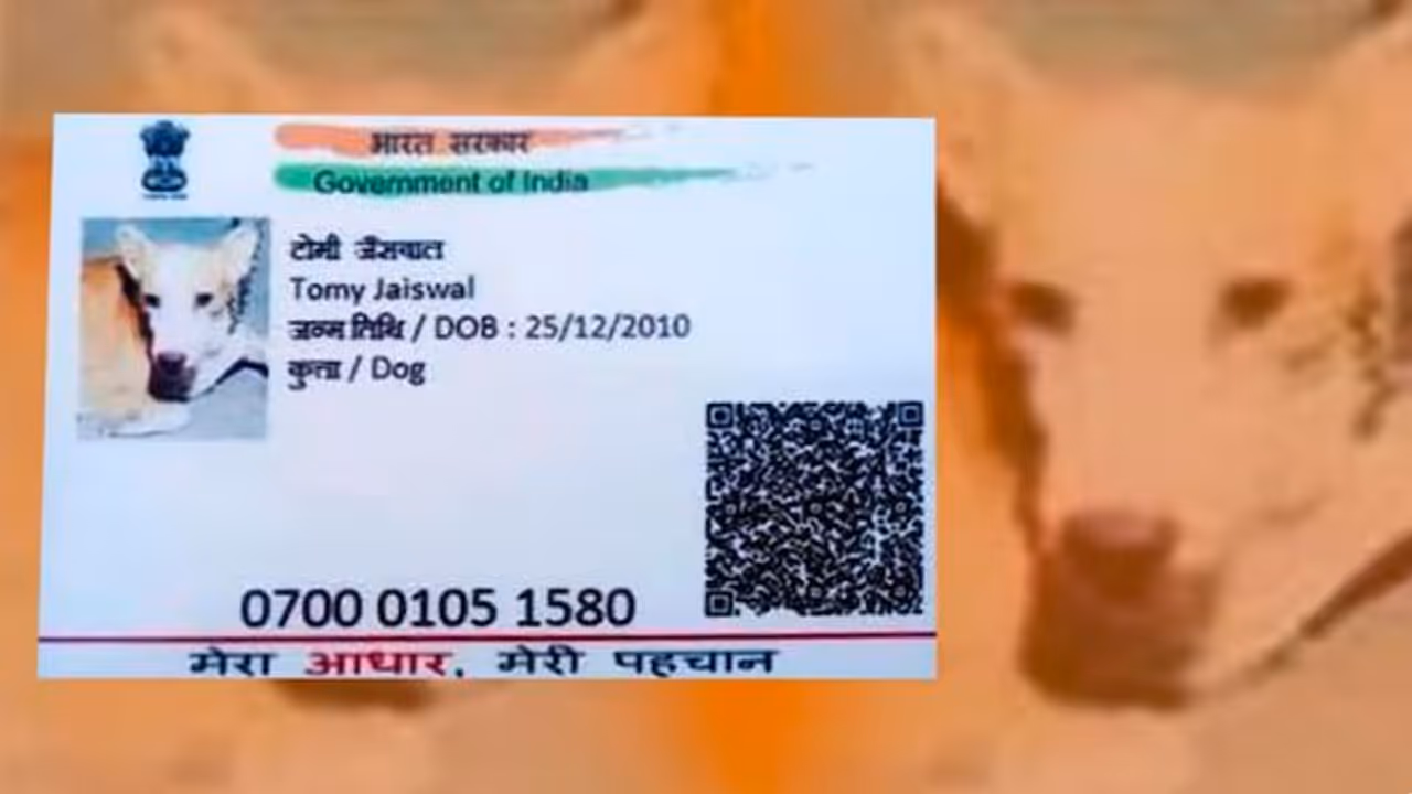 Viral Dog Aadhaar Card