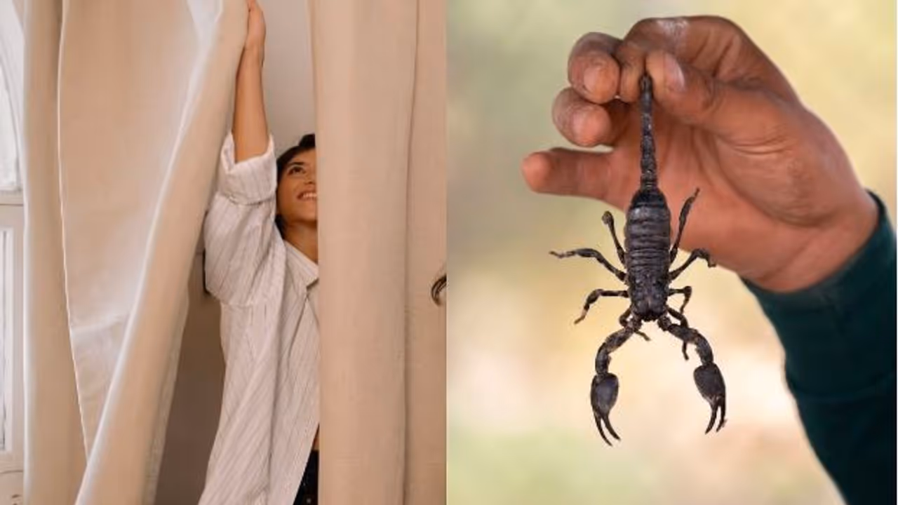Scorpion Bites Woman in Dressing Room