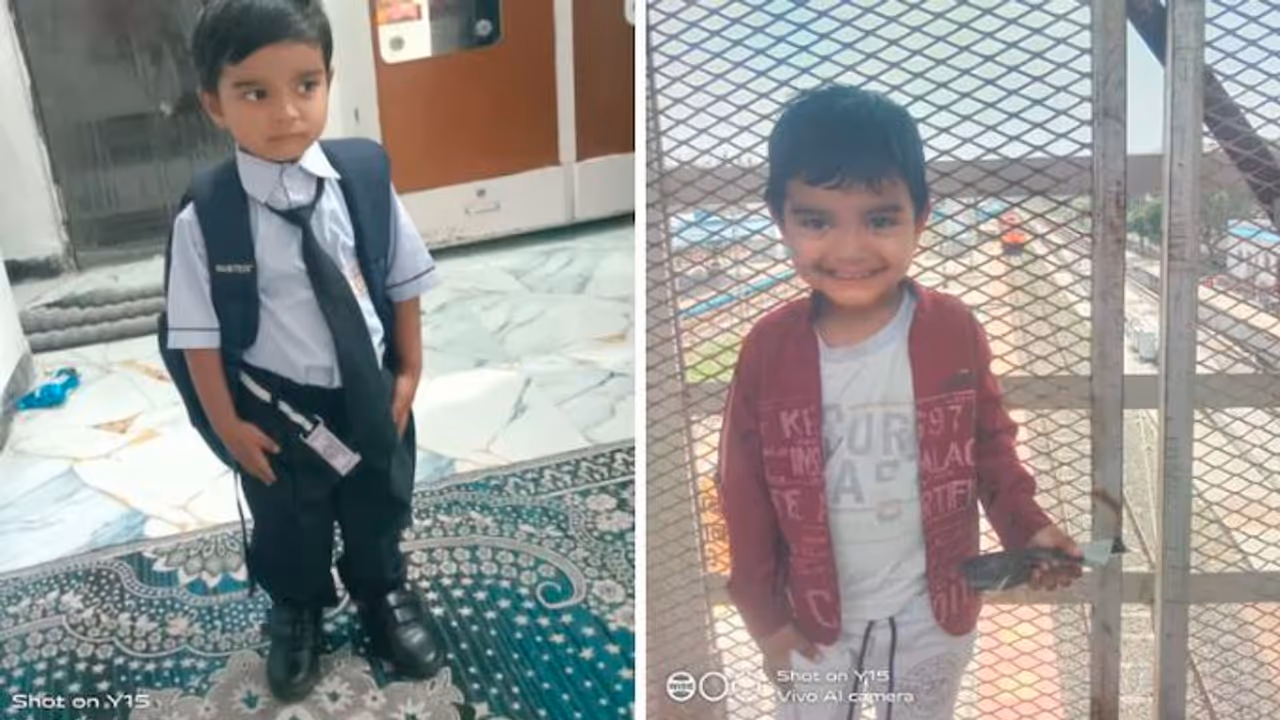 Boy Dies of Rabies After Stray Dog Bite in Maharashtra