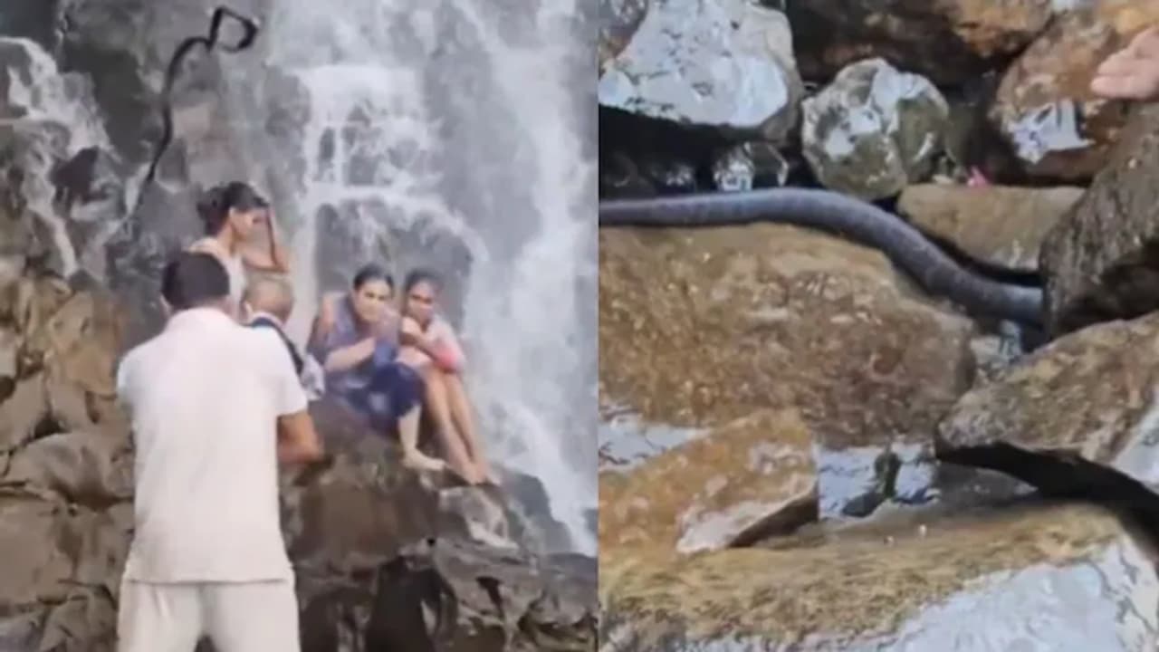 amboli waterfall snake fall amboli waterfall snake fall