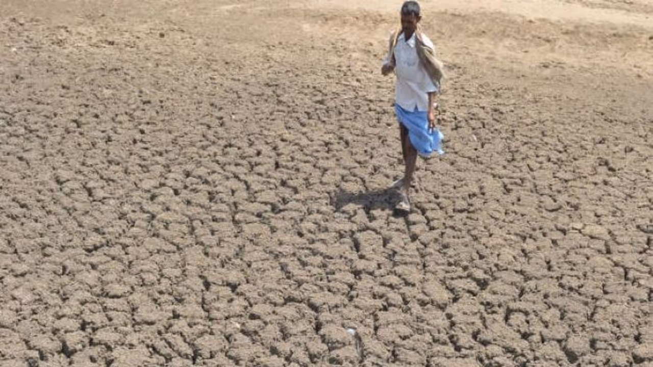 Farmer crop damage compensation 