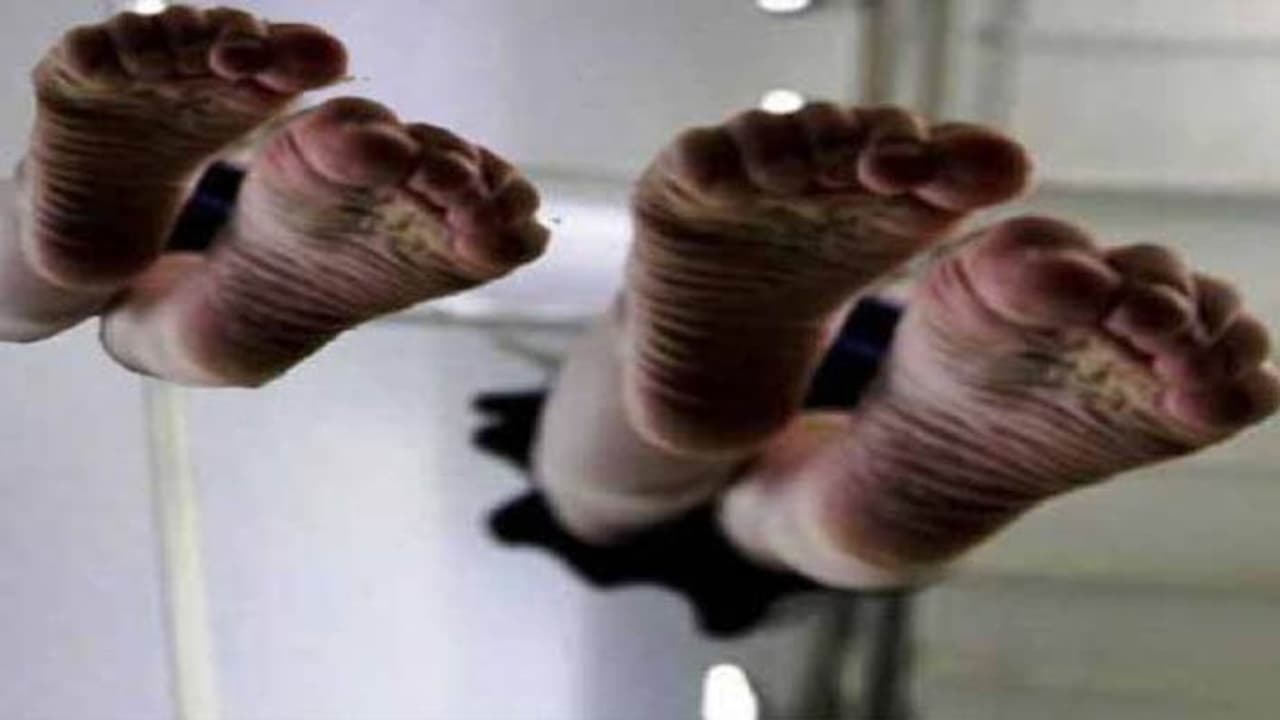 Seven people of the same family committed suicide in jumped into the canal 