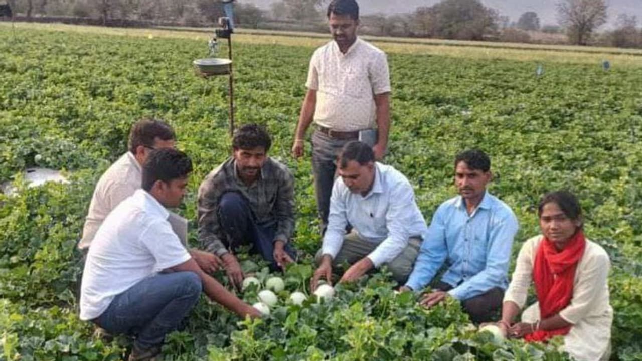 unique success story