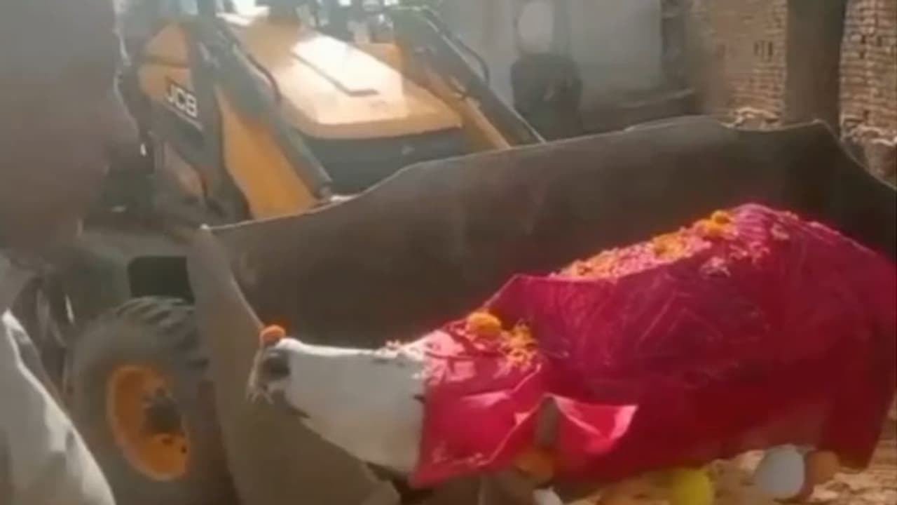 sikar news sikar news