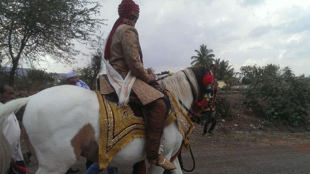 chittorgarh news Two mares were burnt alive with Two people before the procession of grooms