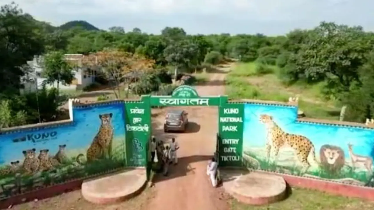 Ranthambore National Park