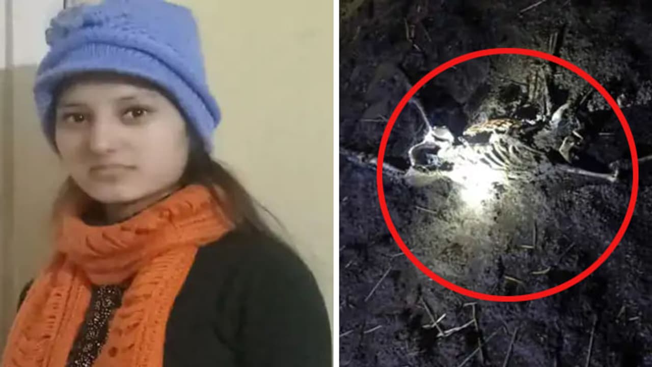 shocking crime stories shocking crime stories