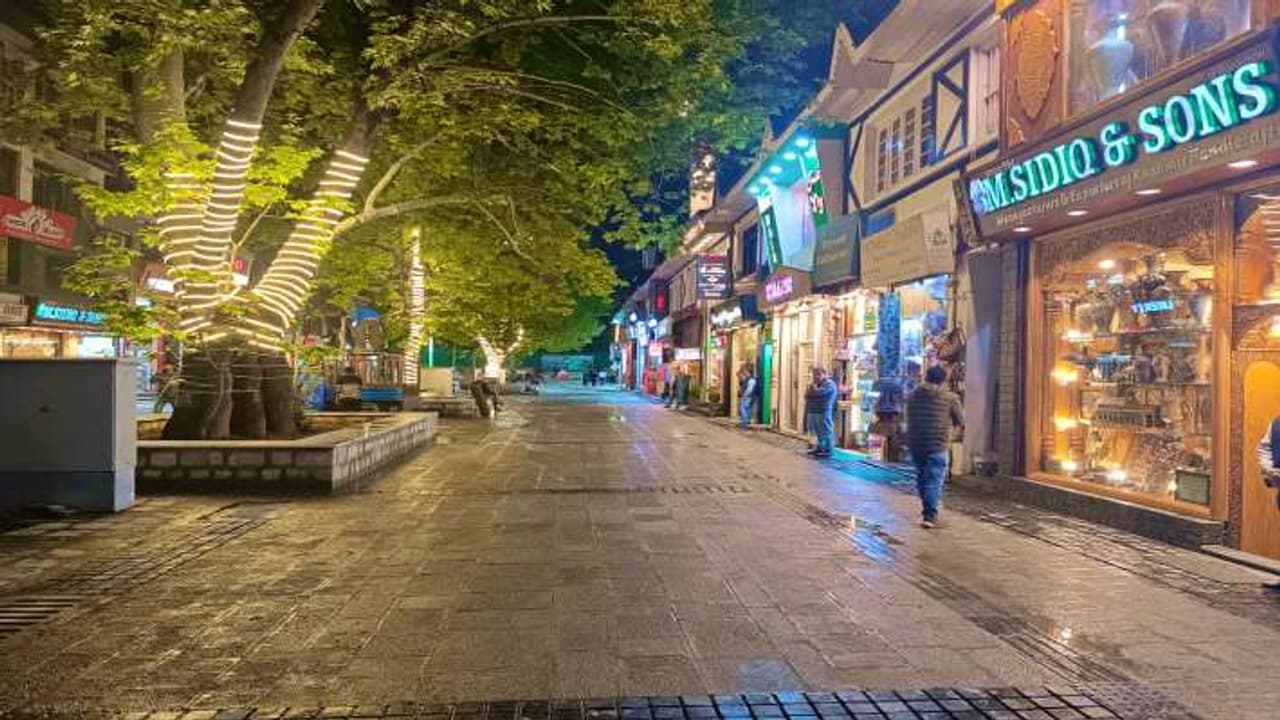 polo view market polo view market