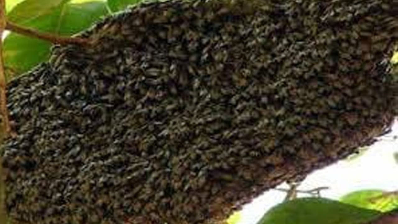 instagram reel instagram reel