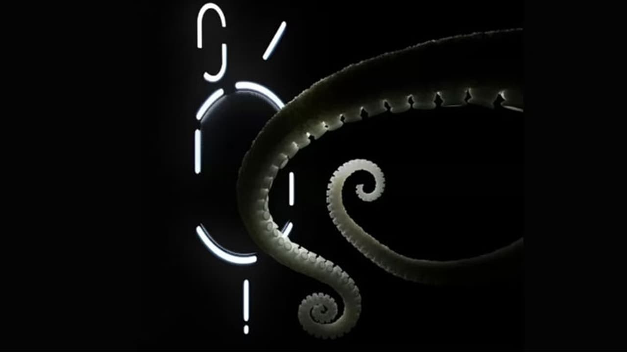 Nothing Phone 2 Nothing Phone 2