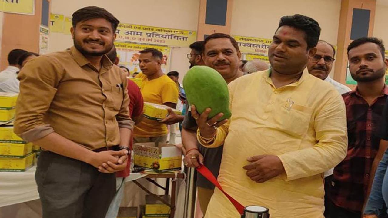 Mango Festival raipur Mango Festival raipur