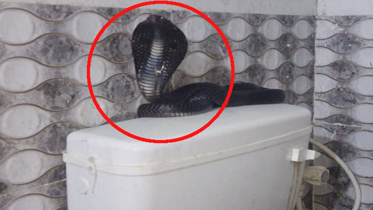 Rajasthan shocking news Rajasthan shocking news