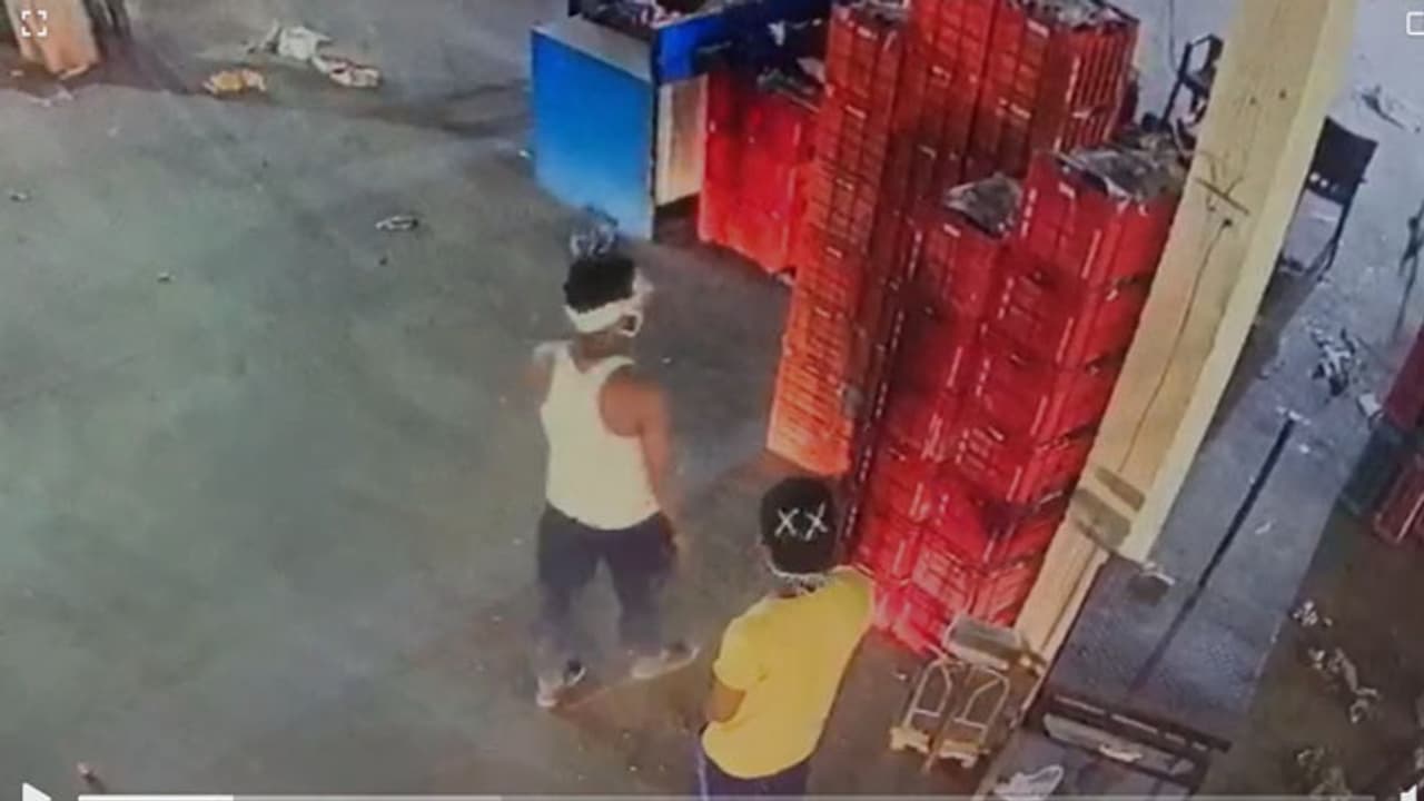 tomato NEWS tomato NEWS