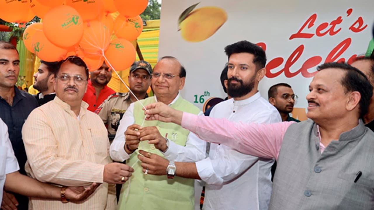 mango festival of india mango festival of india