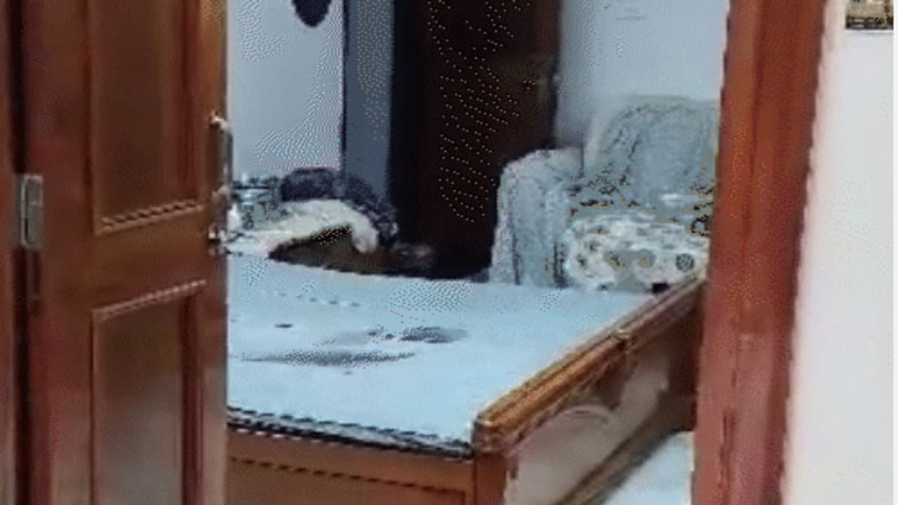 meerut crime news meerut crime news