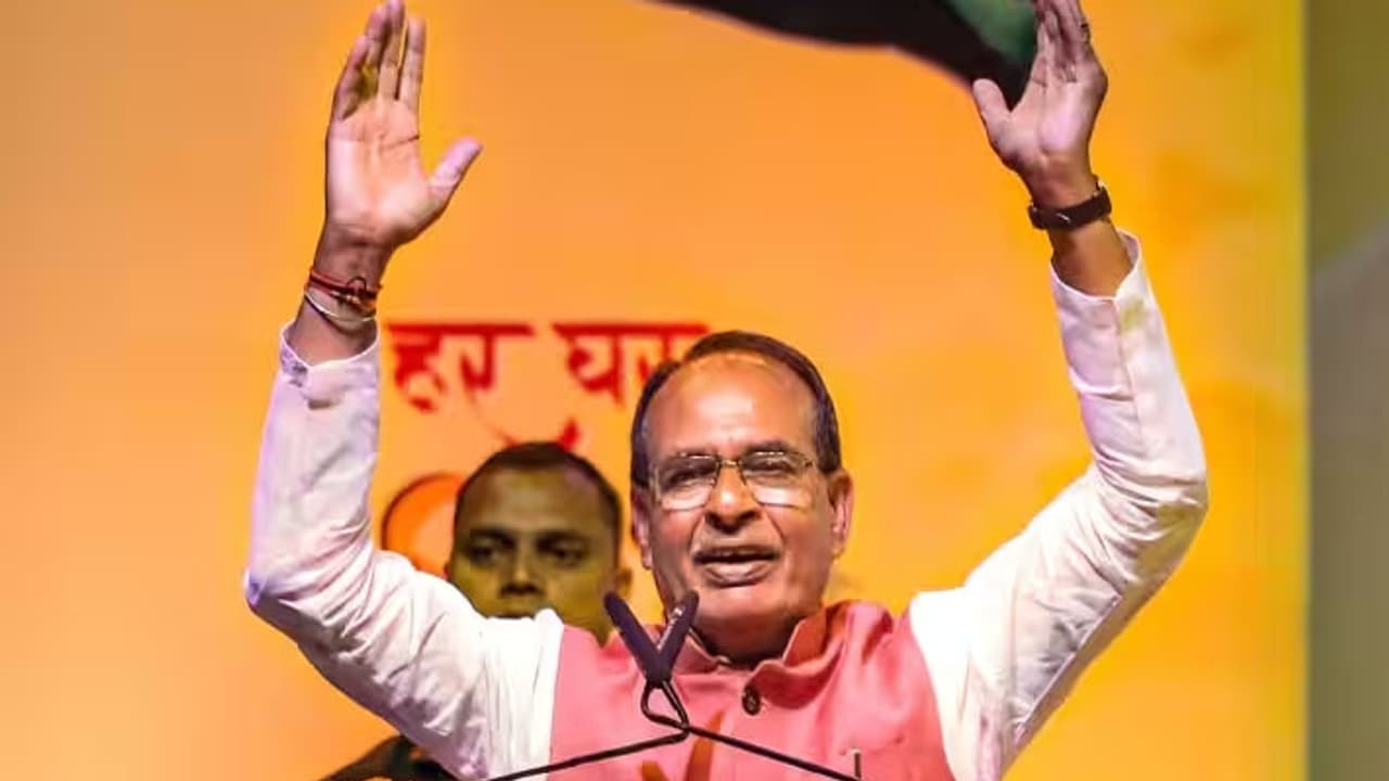 madhya pradesh assembly election 2023 madhya pradesh assembly election 2023