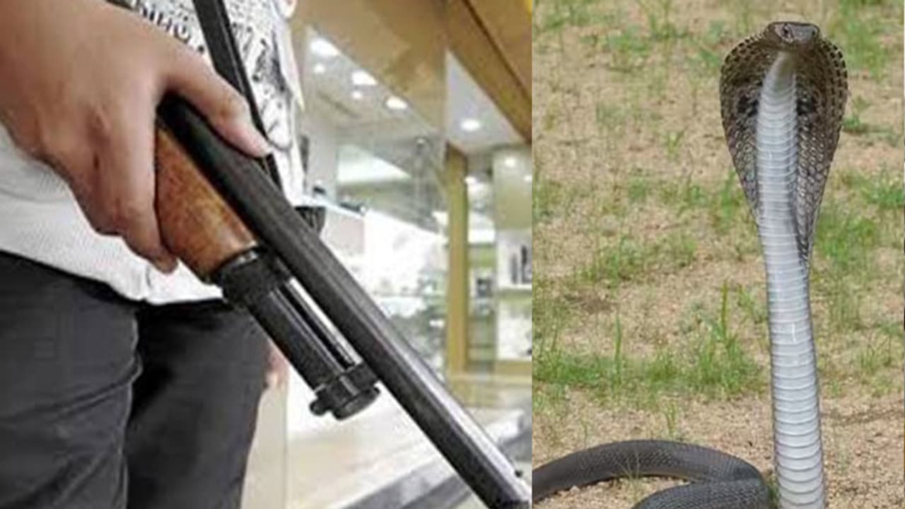 Strange case from Bundi Rajasthan Strange case from Bundi Rajasthan