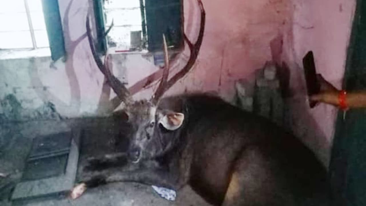 Shocking News Shocking News