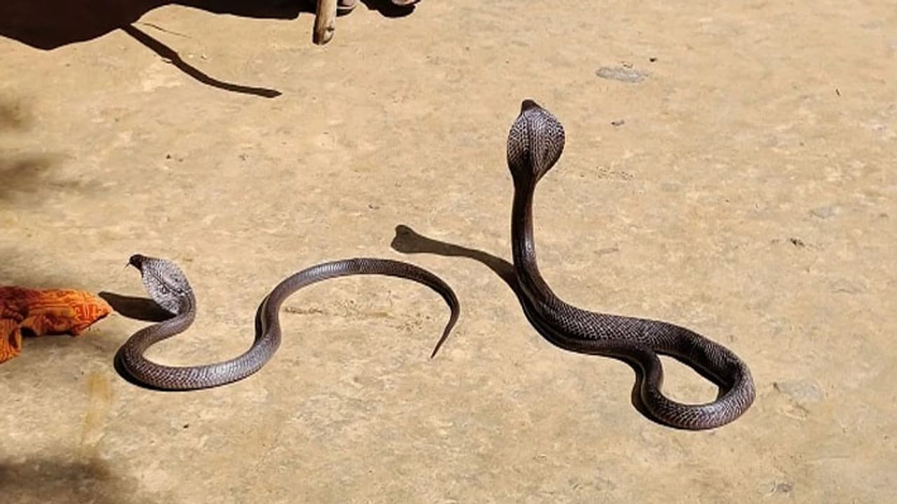 Pratapgarh News Pratapgarh News