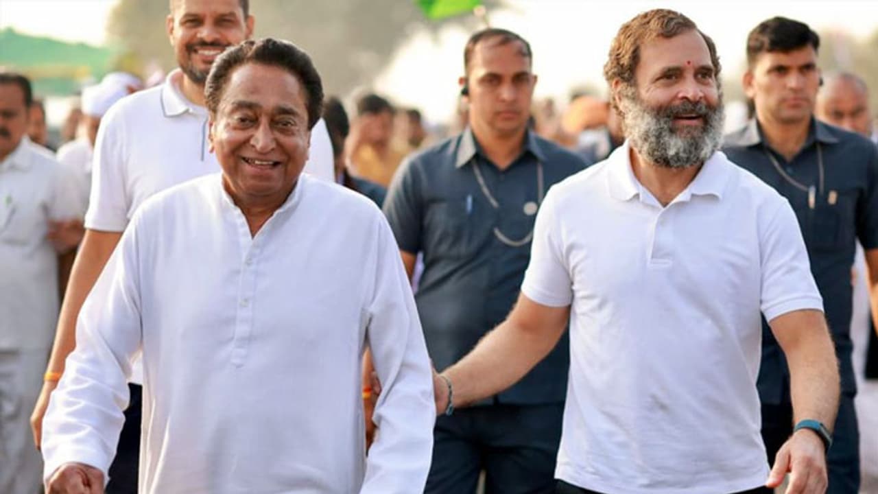 madhya pradesh assembly election 2023 madhya pradesh assembly election 2023