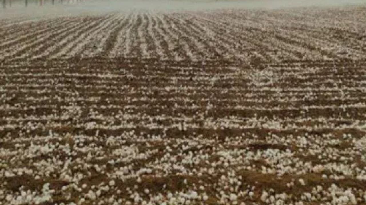 rajasthan weather changed rajasthan weather changed