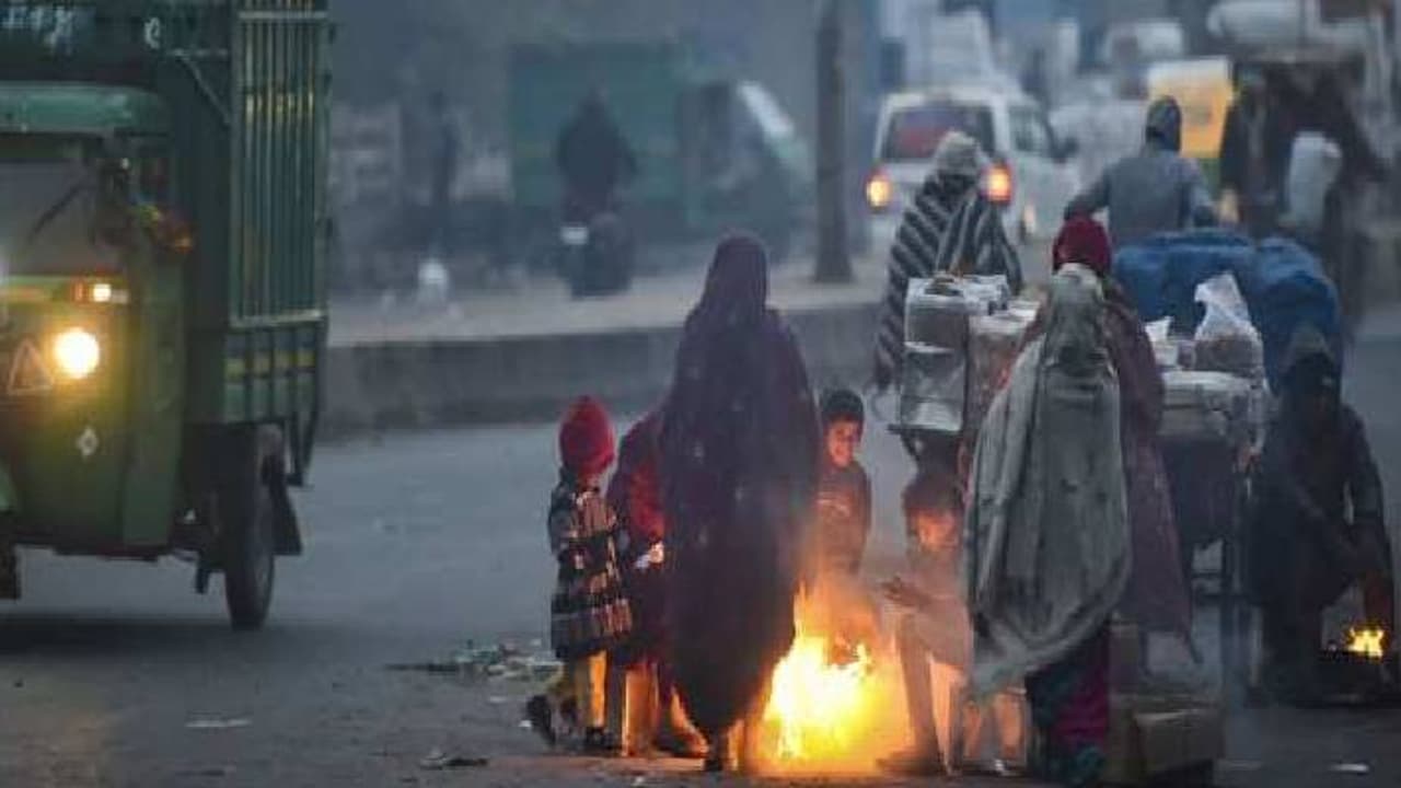 cold in mp cold in mp