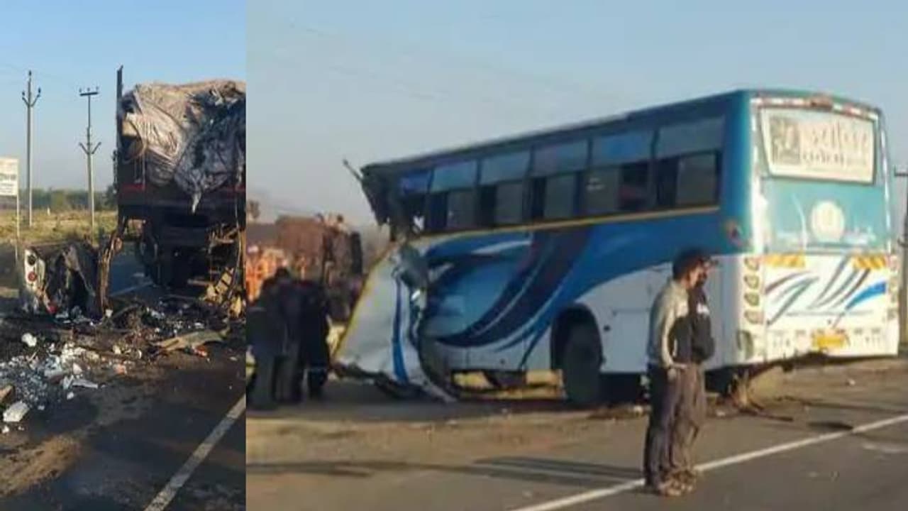 school bus school bus