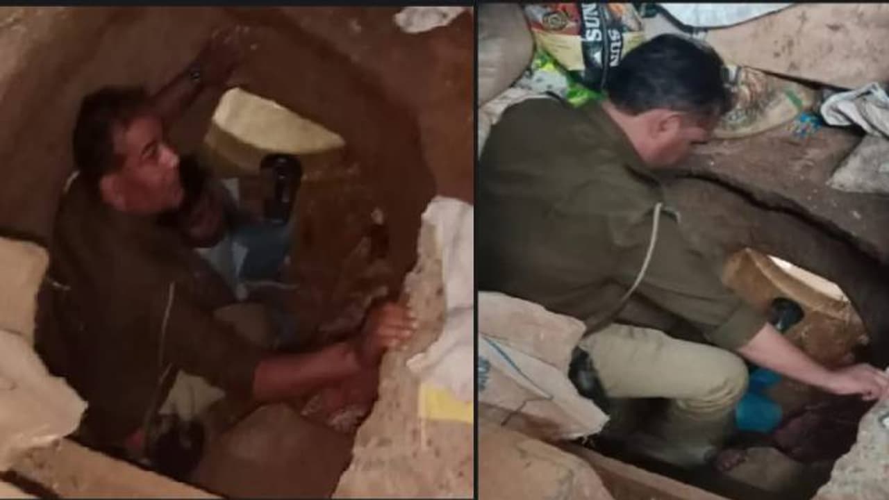 jaipur rob jaipur rob