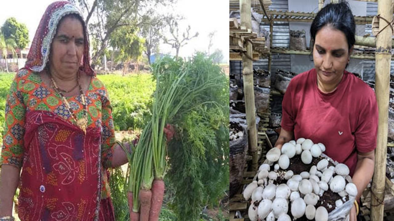 Special Story of Women Farmers This Women Day 2024 IN Rajasthan