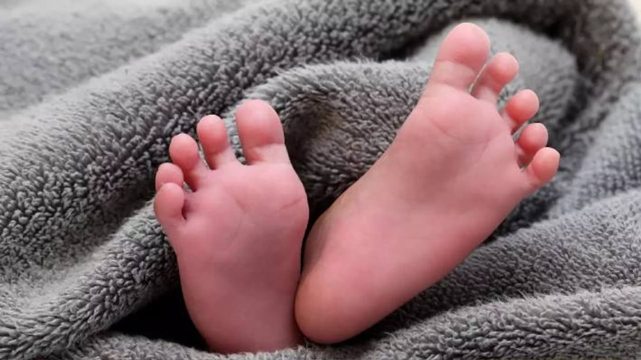 boiling potatoes boiling potatoes