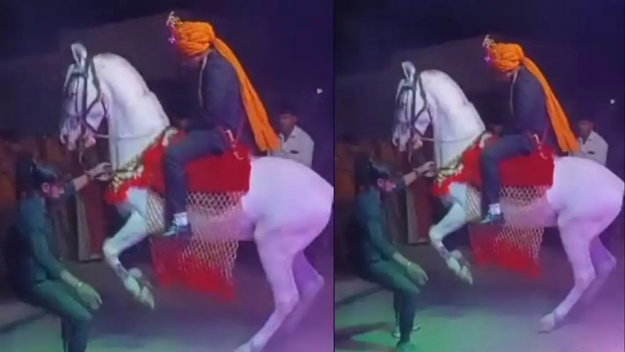 Baarat wali ghodi Baarat wali ghodi