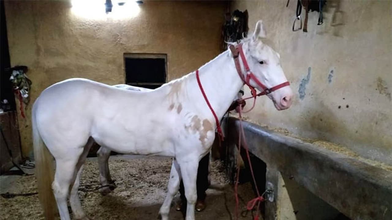 unique news unique news