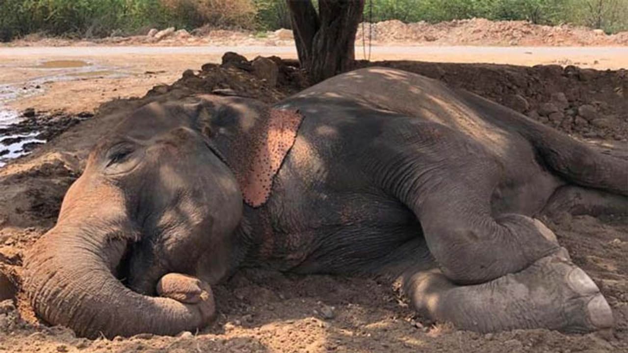 Today temperature in Rajasthan Today temperature in Rajasthan