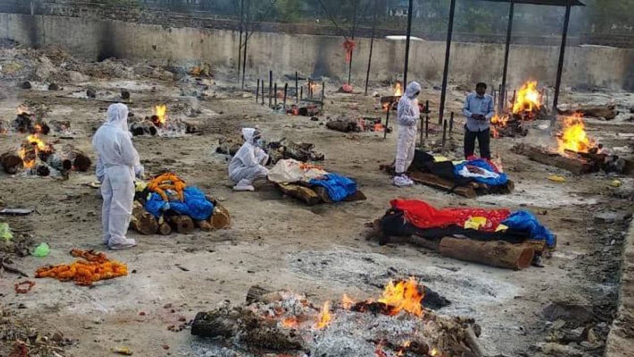 jaipur tourism jaipur tourism