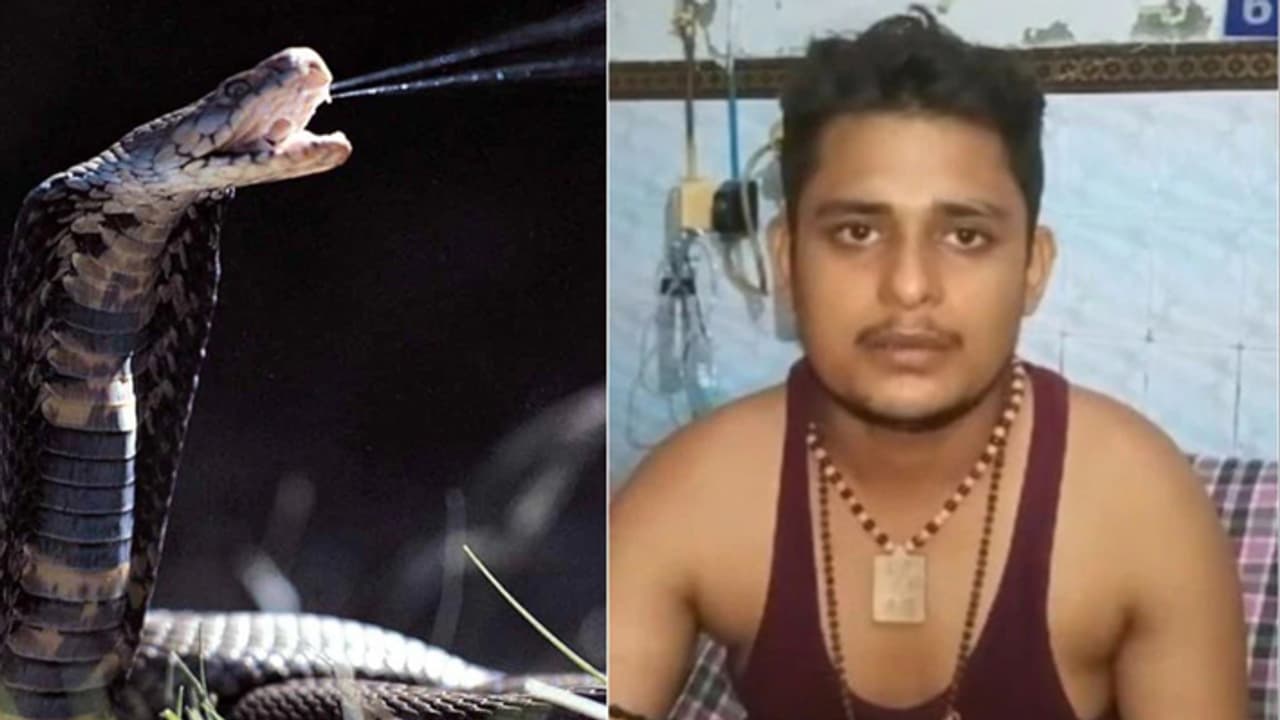 vikas dwivedi eight time snake bites vikas dwivedi eight time snake bites