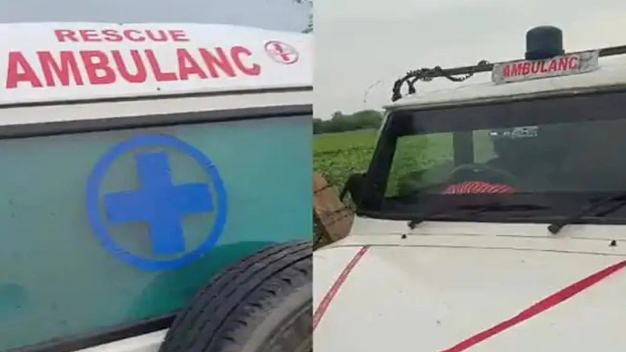 dausa police capture cow smuggling in ambulance dausa police capture cow smuggling in ambulance