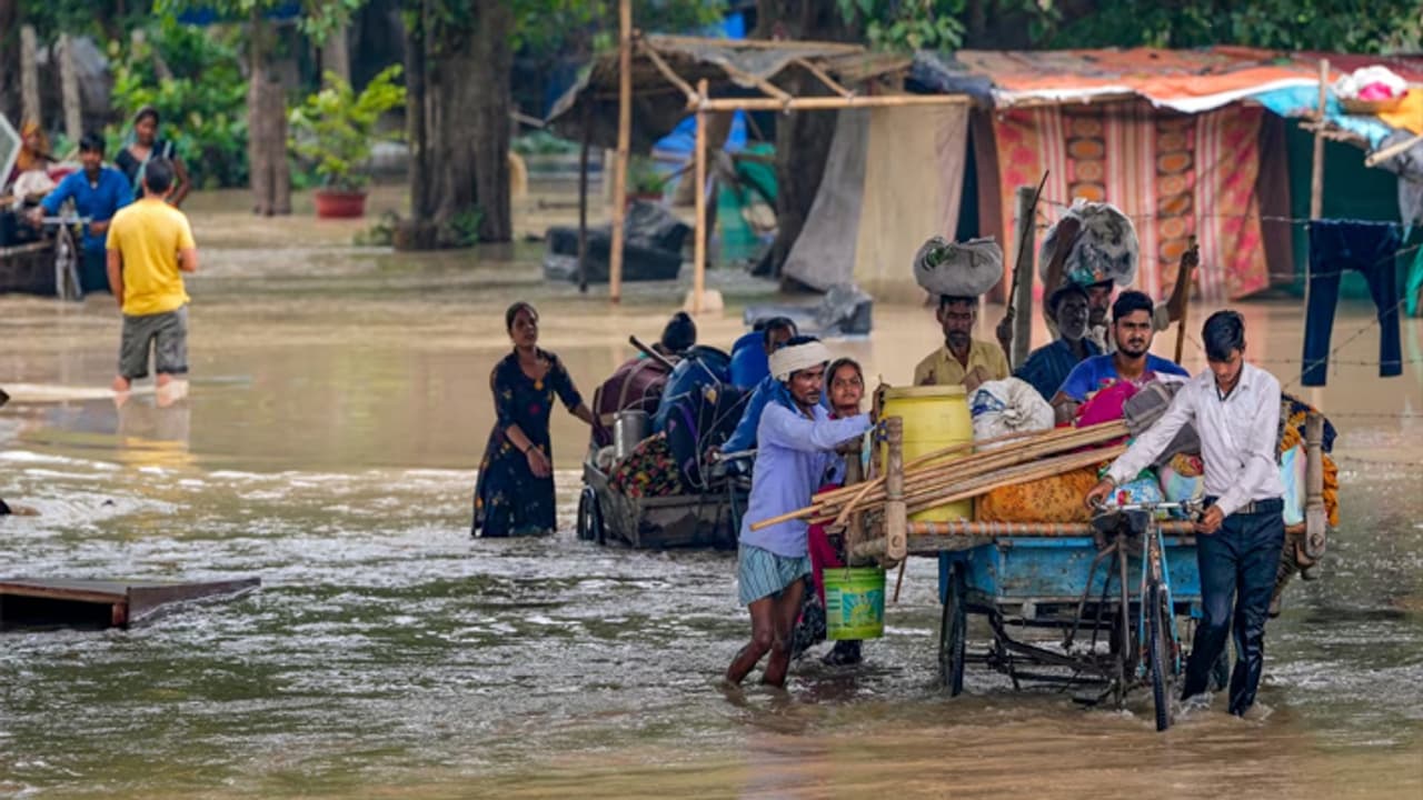 Flood due to heavy rain in Bharatpur Flood due to heavy rain in Bharatpur