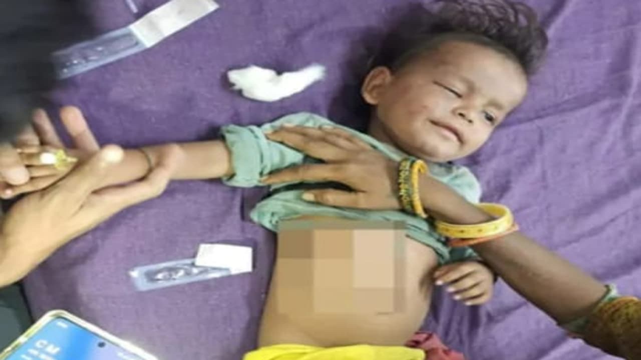 Rajasthan Crime News