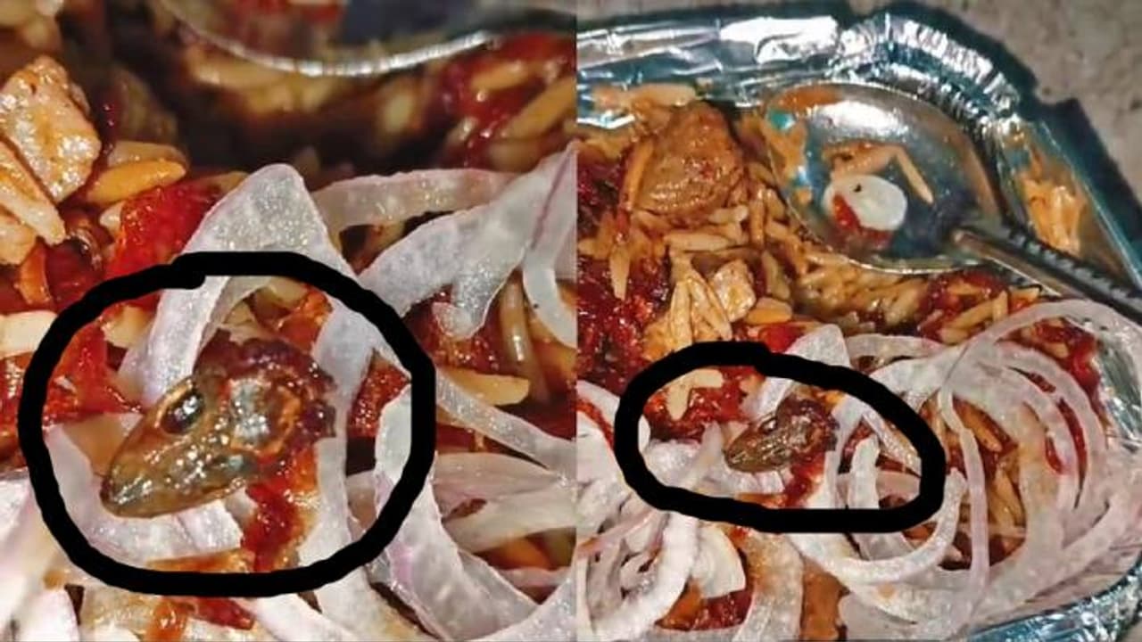 biryani jhansi biryani jhansi