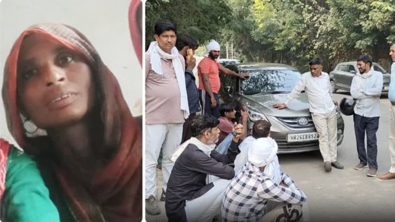 haryana news haryana news