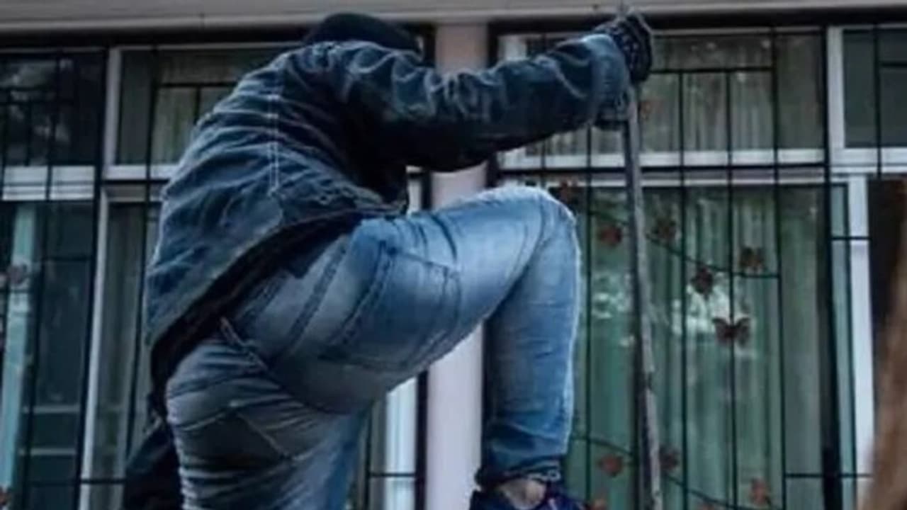 50 tola gold stolen in jaipur 50 tola gold stolen in jaipur