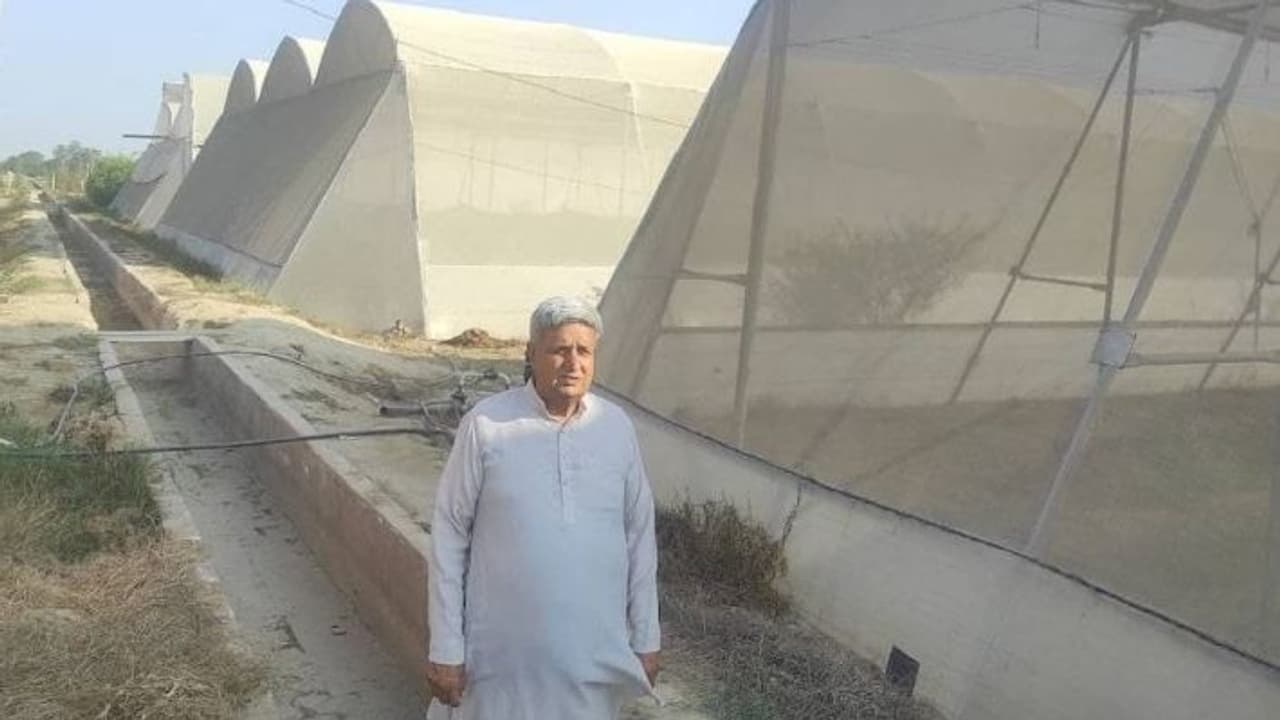 success story success story