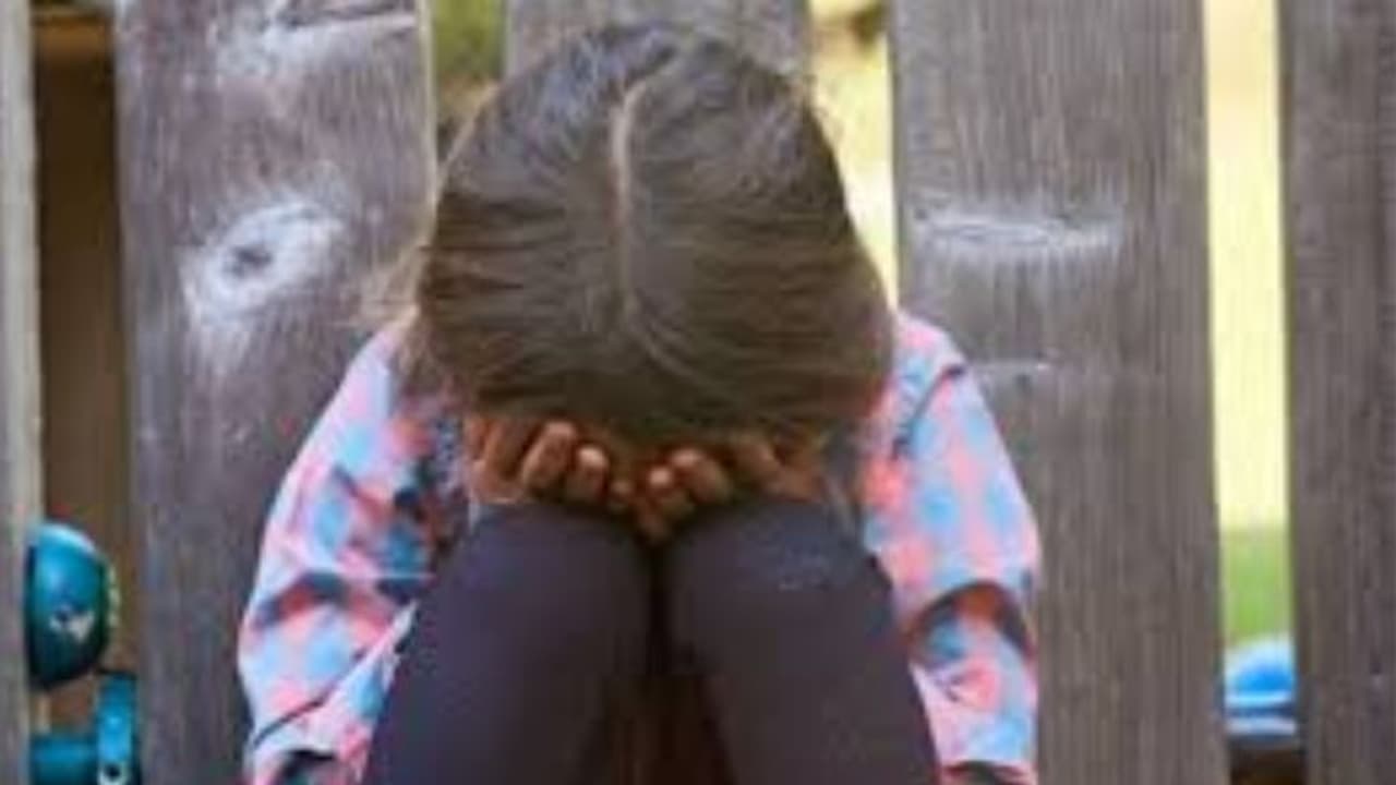 Nagaur News Nagaur News