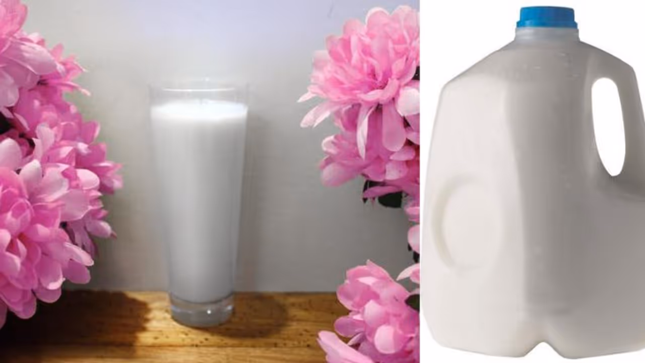 Biological Park of Jaipur Biological Park of Jaipur