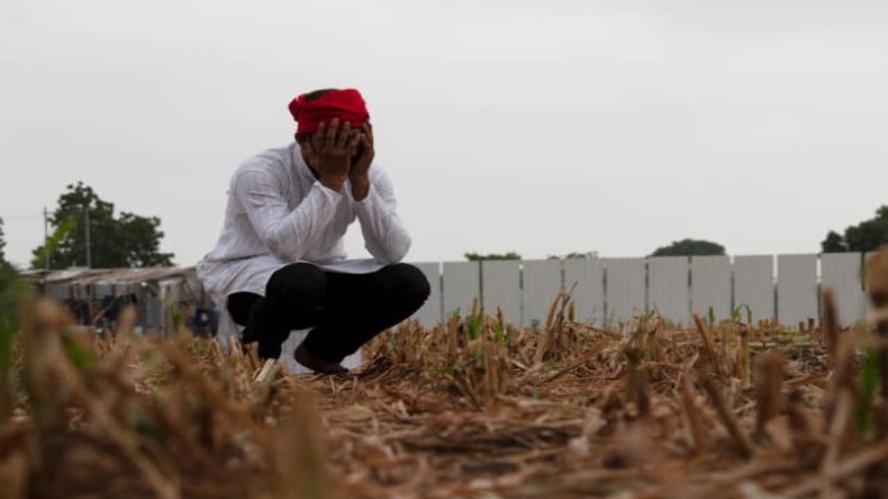 Farmers are worried Farmers are worried