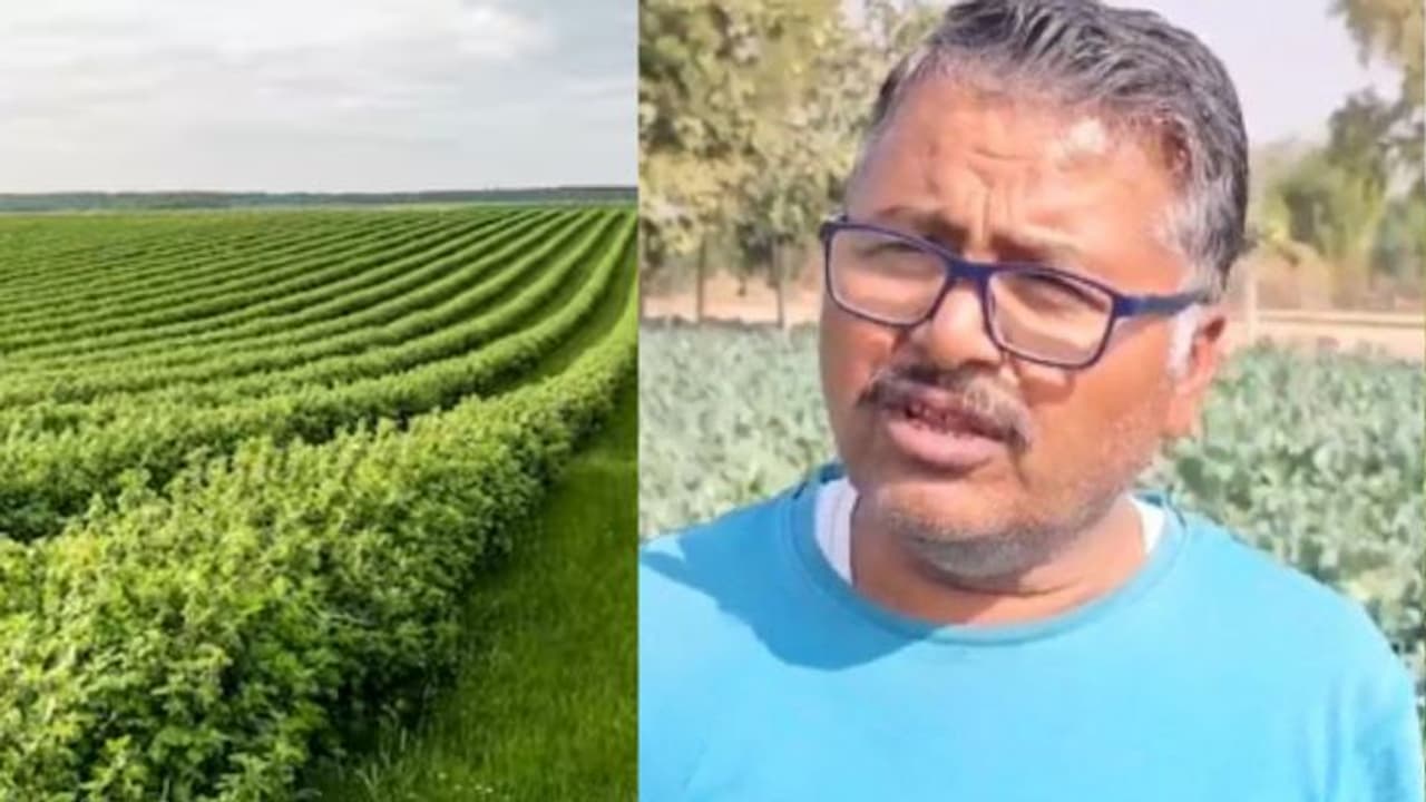 Success story of farmer